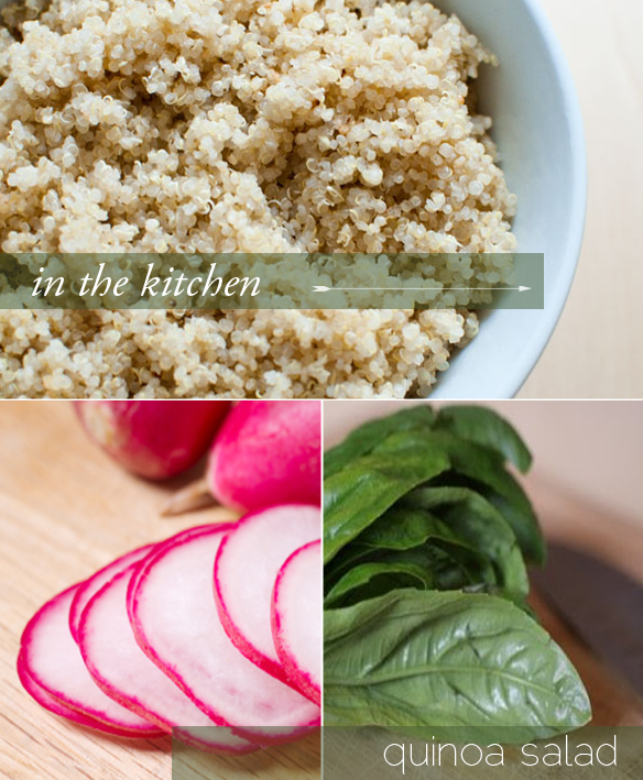Quinoa Salad with Chicken, Radishes, and Basil